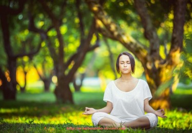 海豚直播-2025世俱杯球队名单公布：豪门阵容与亚洲代表俱乐部完整列表