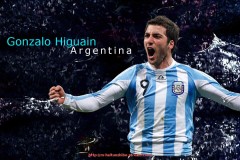 海豚直播-德甲14只球队：德甲14支球队的赛季分析与评价