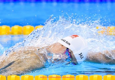 海豚直播-世俱杯球员传球路线分析与战术执行路径的适配性