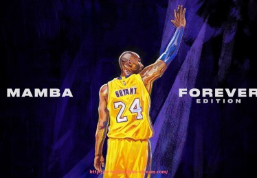 海豚直播-西甲网络直播权归属及主要直播平台介绍