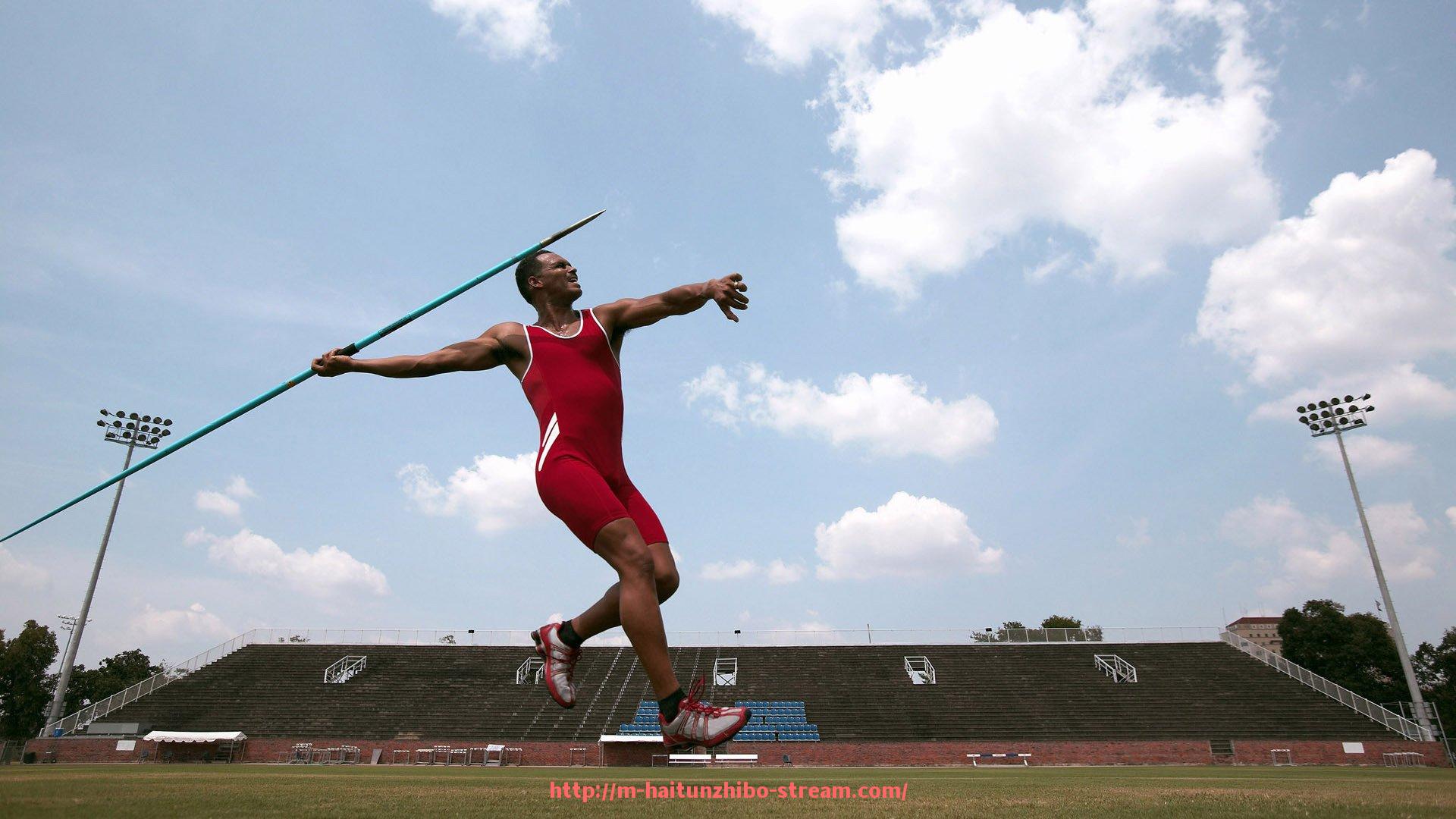 海豚直播-世俱杯广告投放方案设计与实施效果评估报告
