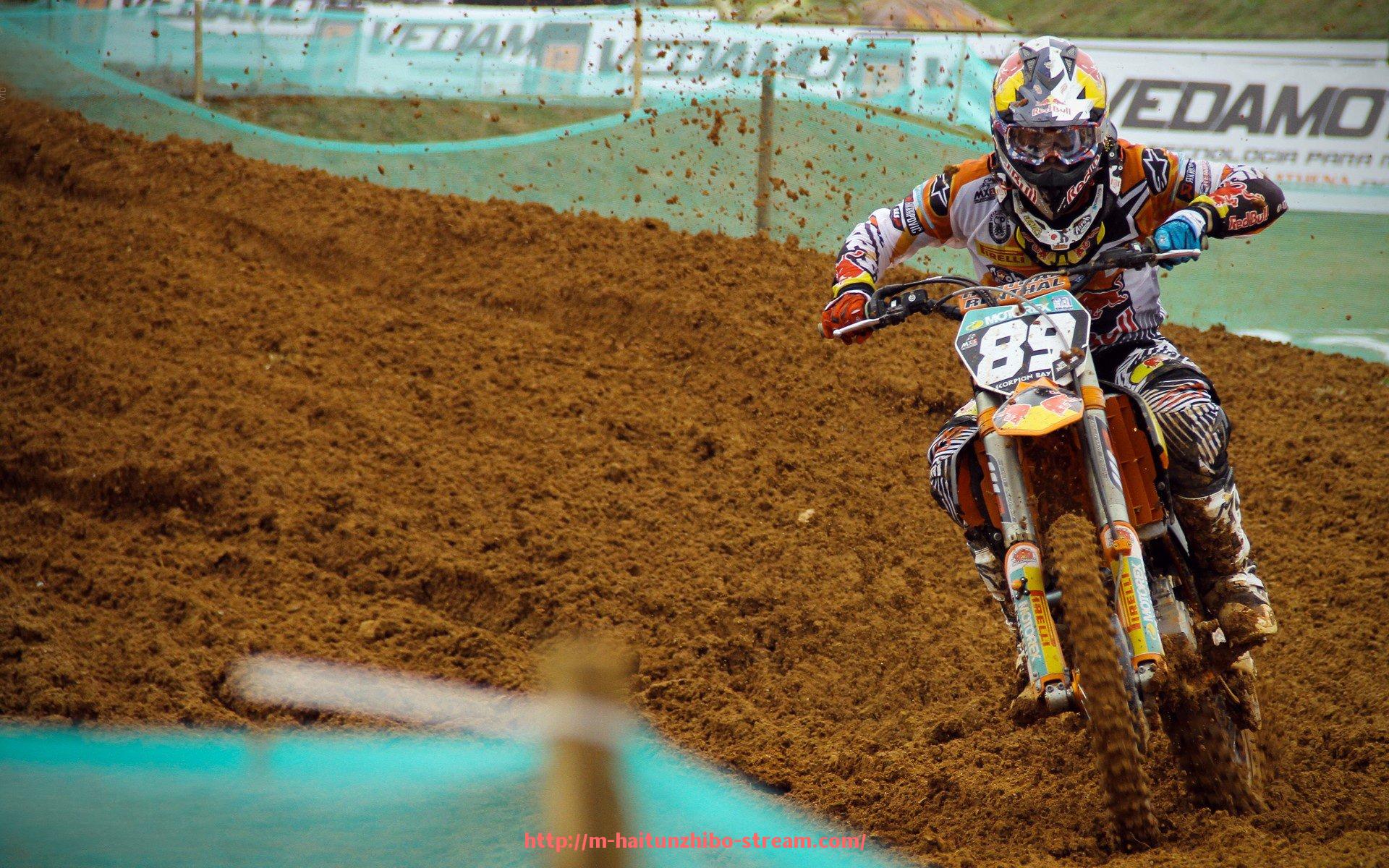 海豚直播-世俱杯广告投放方案设计与实施效果评估报告