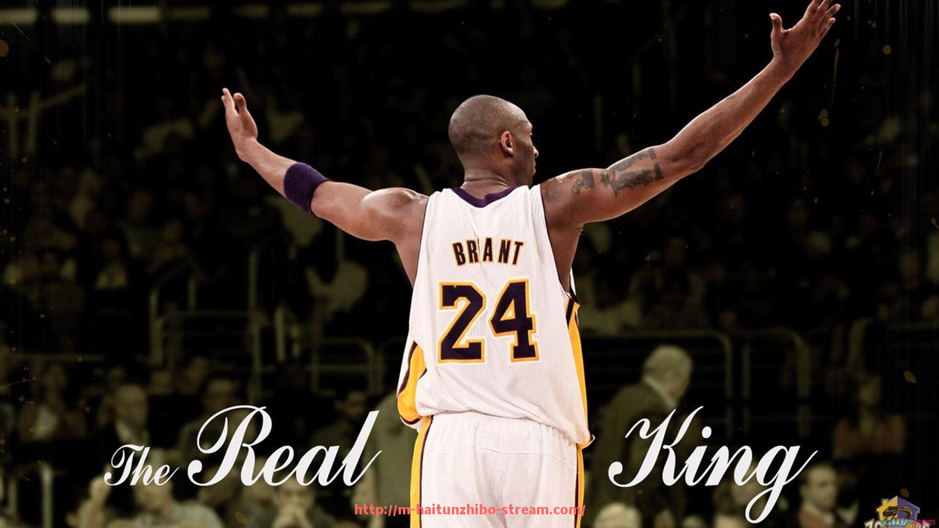 海豚直播-健身器材与登山机功能的相似点及区别解析